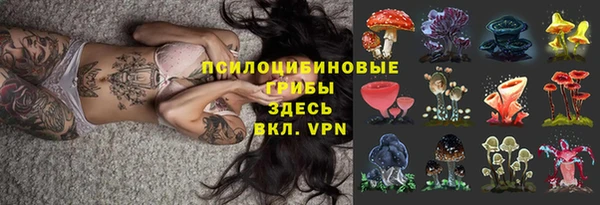 сатива Алзамай